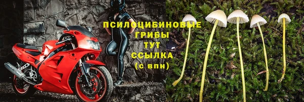 марки nbome Ельня