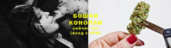 первитин Заводоуковск