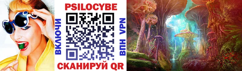 Галлюциногенные грибы Psilocybe  Купить  Почеп 
